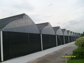 一呼百應公司頻道